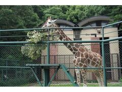 �����s�������@����̓��̎ʐ^1