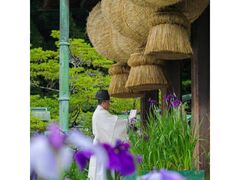 �]�ˏҊ�������_���i�Ҋ��܂�j�̎ʐ^1