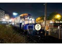 �k��B��s���g�����C���u�������v�^�s�̎ʐ^1