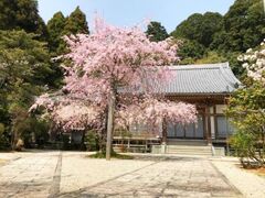 ��Ҏ��Ԃ܂�̎ʐ^1