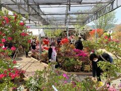 �v���Ă��܂�̎ʐ^1