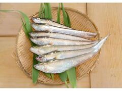 ��삦�ό���J���̎ʐ^1