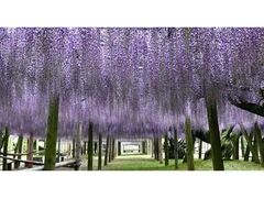 �͓������̓��̎ʐ^1