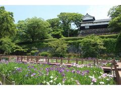 ���ߌ����̃n�i�V���E�u�̎ʐ^1