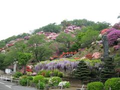 ���܂�i�S����א_�Ёj�̎ʐ^1