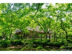 ���̖����@��N���@�t�̈�ʌ��J�̎ʐ^1