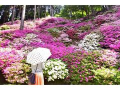 �勻�P�����܂�̎ʐ^1