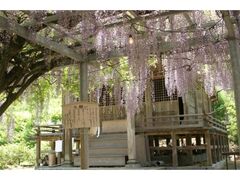 �@���_�̓��̎ʐ^1