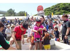 ���ˊC���n�C�l�Ղ̎ʐ^1