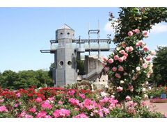 �F�{���_�ƌ����@�J���g���[�p�[�N�u�t�̃o���܂�v�̎ʐ^1