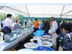 �΂̍����F�����܂�̎ʐ^1