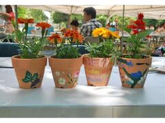 �t�̂��ǂ��܂�̎ʐ^1