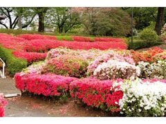 ��Â��Ղ̎ʐ^1