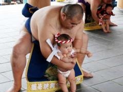 ����t�܂�̎ʐ^1