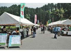 ��V���܂�̎ʐ^1