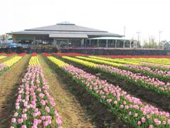 ��34�񂨂����`���[���b�v�t�F�X�^2026�̎ʐ^1