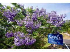 �W���J�����_�܂�2026�̎ʐ^1