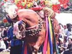 ���n�܂�̎ʐ^1