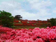 �Ŕ��d�����̂��̎ʐ^1