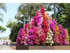 �u�[�Q���R���N�V�����̎ʐ^1