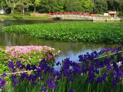 ���������̂���߂̎ʐ^1