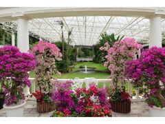 �t�����[�p�[�N�������܁@�X�v�����O�t�F�X�e�B�o���̎ʐ^1