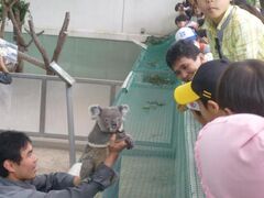 ���쓮�������@����̓��̎ʐ^1