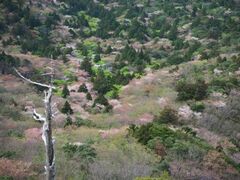 ���v���̎R���̎ʐ^1