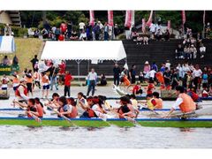 �����h���S���J�b�v�̎ʐ^1