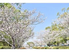 ��������܂�̎ʐ^1