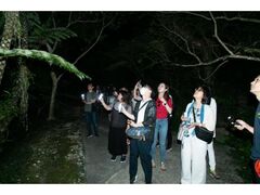 �r�I�X�̋u�@�i�C�g�c�A�[�̎ʐ^1