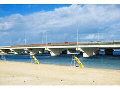 �g�̏�r�[�`�@�C�J���̎ʐ^1