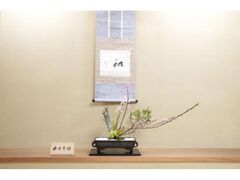 �t�̂����΂ȓW�̎ʐ^1