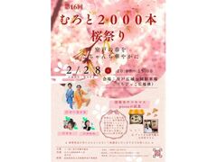 �ނ��2000�{���̎ʐ^1