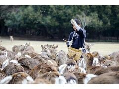 �t�̎��񂹂̎ʐ^1