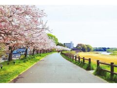 ���R�s���������v�����̎ʐ^1