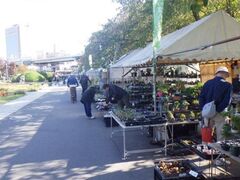 �t�̐A�؎s�i��������j�̎ʐ^1