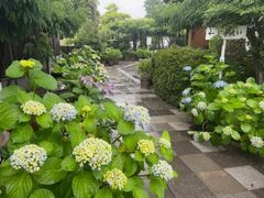 �މ����_�Ђ̎��z�Ԃ̎ʐ^1