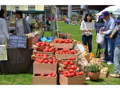 �A�[�X�f�C�_��2026�̎ʐ^1