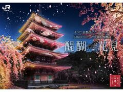 ���������s�A�s�����BPresents NAKED meets ���E��Y ��펛�|���Ԍ��|�̎ʐ^1