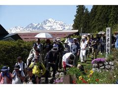 ��47�񉖂̓��Ղ�i���n���j�̎ʐ^1