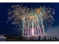 �����̉ԉ�2026�̎ʐ^1