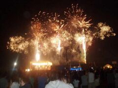 �����ގY�Ɗό��܂�̎ʐ^1