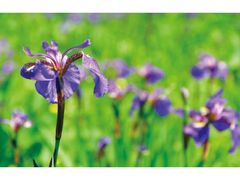 ������������߂܂�̎ʐ^1