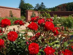 ��ɃK�[�f���̃��[�Y�K�[�f���̎ʐ^1