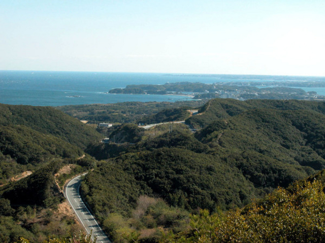 �p�[�����[�h