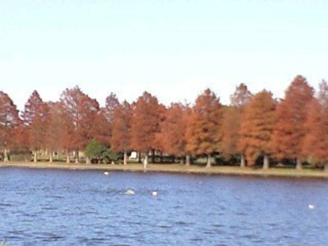 �s����������