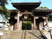 �Ă������p�p����̐������̓��e�ʐ^1