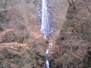 t-astro̊ωRs̑̓eʐ^1