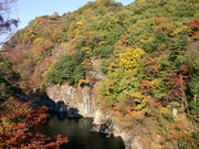 񂿂񂳂̍Ìˋ̓eʐ^1